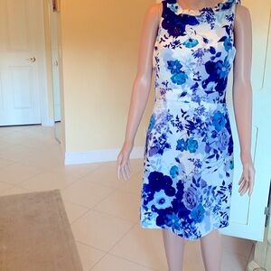 Eliza J blue and white ruffle collar dress